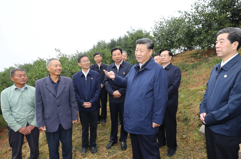 　　9月16日至18日，中共中央總書記、國家主席、中央軍委主席習近平在河南考察。這是17日上午，習近平來到信陽市光山縣槐店鄉(xiāng)司馬光油茶園，同正在勞作的村民和管理人員交流。 新華社記者 鞠鵬 攝