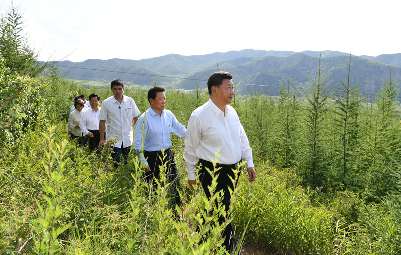 7月15日至16日，中共中央總書記、國(guó)家主席、中央軍委主席習(xí)近平在內(nèi)蒙古考察并指導(dǎo)開展“不忘初心、牢記使命”主題教育。這是15日下午，習(xí)近平在赤峰市喀喇沁旗馬鞍山林場(chǎng)林區(qū)，沿著崎嶇的護(hù)林小道察看林木長(zhǎng)勢(shì)。